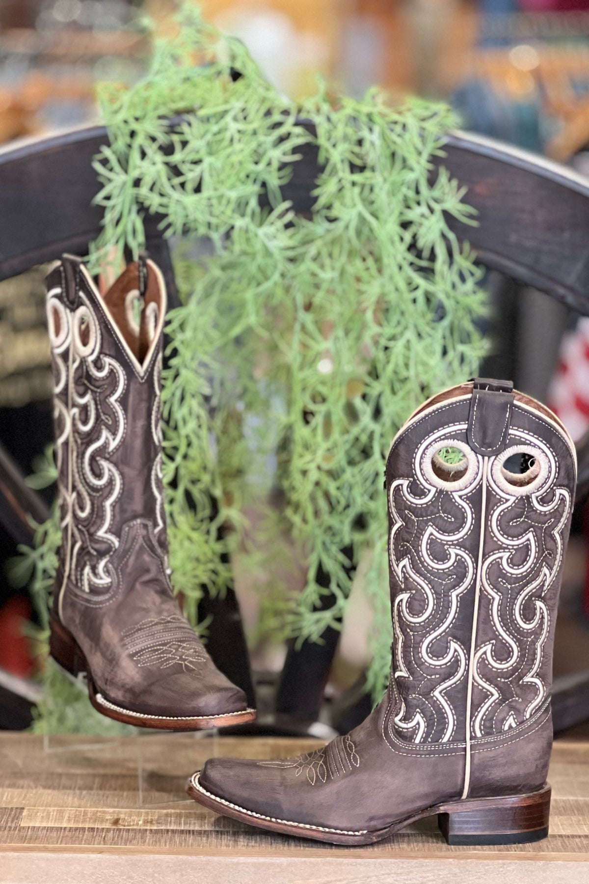Chocolate Cutout & Embroidered Square Toe Boot by Circle G-Women's Boot-Circle G Boots-Gallop 'n Glitz- Women's Western Wear Boutique, Located in Grants Pass, Oregon